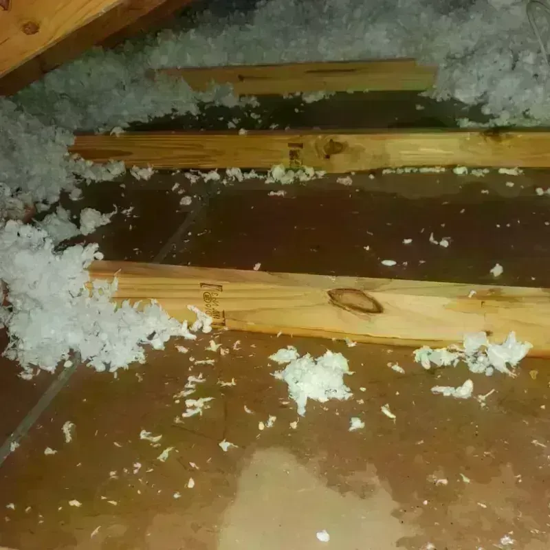 Attic Water Damage in Muttontown, NY